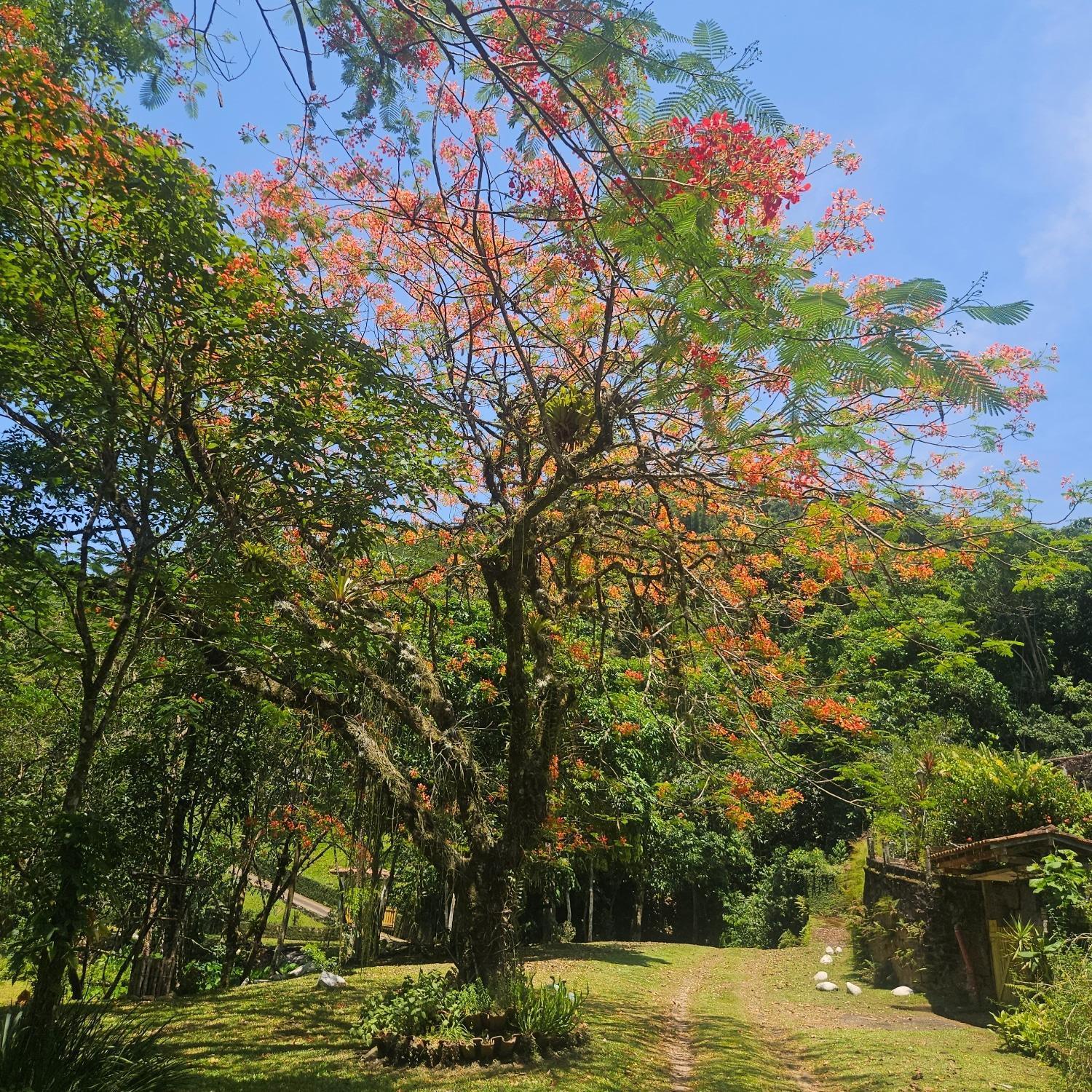Sitio Cristo Redentor Villa Guapimirim Kültér fotó
